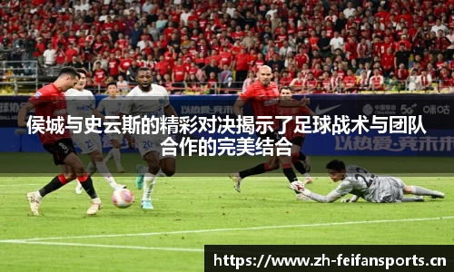 非凡体育官网